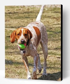 Aesthhetic Red Tick Coonhound Paint By Numbers