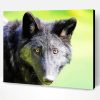 black Eastern wolf head Paint By Number