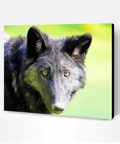 black Eastern wolf head Paint By Number