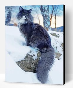Black Norwegian Cat In Snow Paint By Number