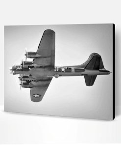 Black and White Sally B Paint By Number
