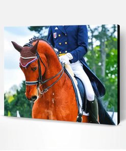 Brown Dressage Horse Paint By Number