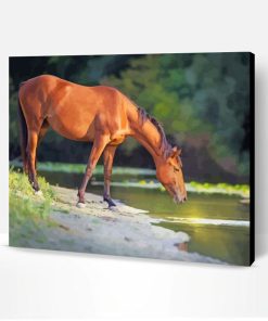 Brown Horse By Water Paint By Number