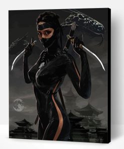 Female Ninja Kunoichi Paint By Number