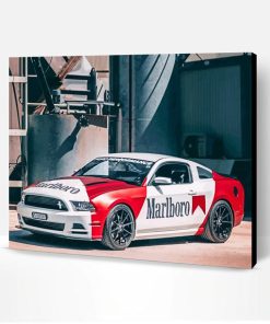 Ford Mustang Marlboro Car Paint By Number