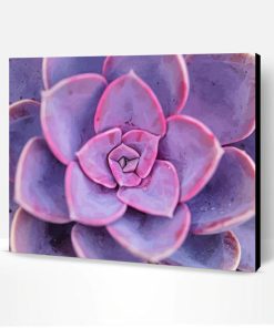 Pink Succulent Paint By Number