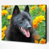 Schipperke And Flowers Paint By Numbers