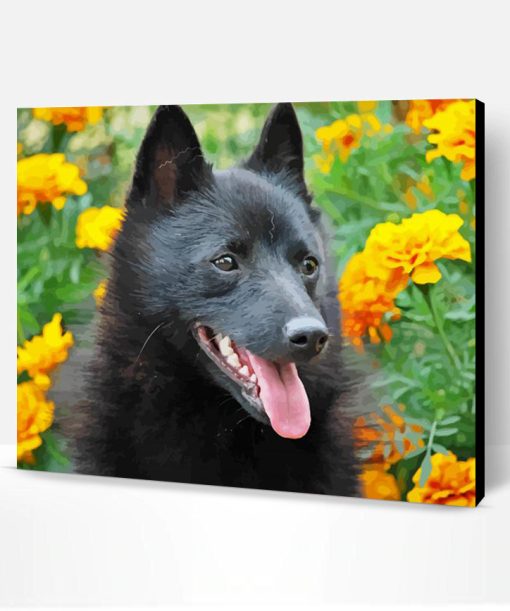 Schipperke And Flowers Paint By Numbers