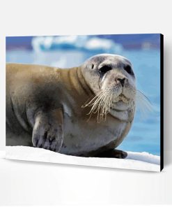 Seals Northwestern Animals Paint By Number