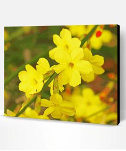 Yellow Winter Jasmine Paint By Number