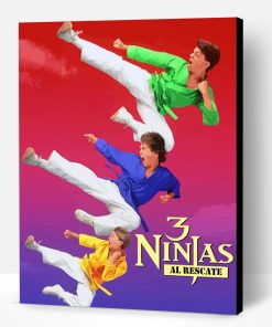 3 Ninjas Movie Poster Paint By Number