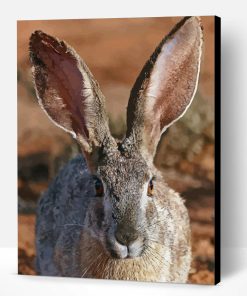 Adorable Big Eared Bunny Paint By Number