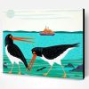 Aesthetic Oystercatcher Birds Art Paint By Numbers