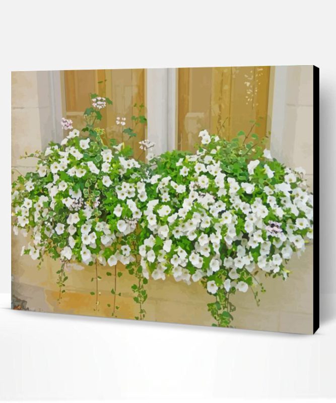 Aesthetic Window With White Flowers Paint By Numbers