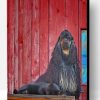 American Cocker Spaniel With Black Cat Paint By Number
