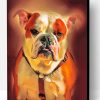 American Bulldog Animal Paint By Number
