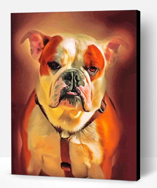 American Bulldog Animal Paint By Number