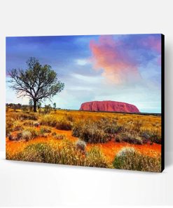 Australian Outback Desert Paint By Number