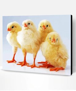 Baby Chickens Paint By Number