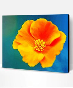 Beautiful California Poppy Flower Paint By Number