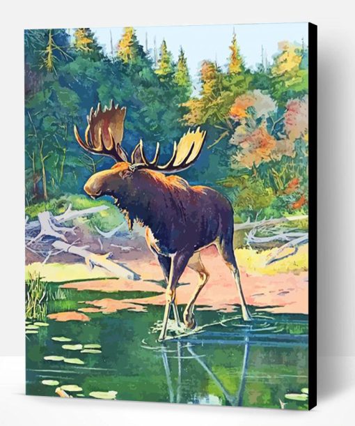 Beautiful Moose Illustration Paint By Number