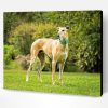 Beige Galgo Dog Paint By Numbers