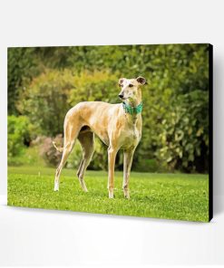 Beige Galgo Dog Paint By Numbers