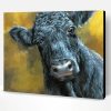 Black Angus Cow Paint By Number