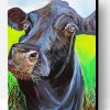 Black Cow Head Paint By Number