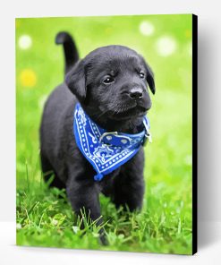 Black Labrador Retriever Puppy Paint By Numbers