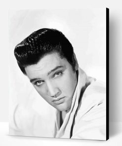 Black And White Elvis Paint By Numbers