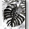 Black and White Plants Paint By Number