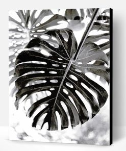 Black and White Plants Paint By Number