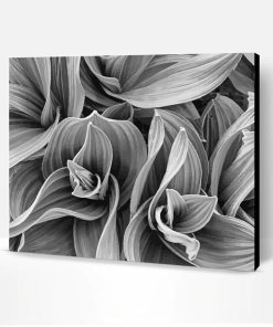 Black And White Plant Paint By Numbers