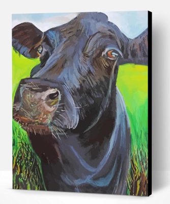 Black Cow Animal Paint By Numbers