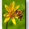 Bumble Bee Insect Paint By Number