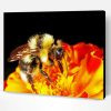 Bumblebee Insect Orange Flower Paint By Number