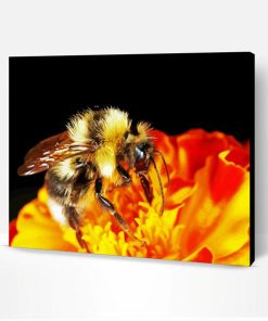 Bumblebee Insect Orange Flower Paint By Number