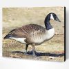 Canadian Goose Paint By Numbers