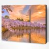 Cherry Blossoms Washington DC Sunset Paint By Number