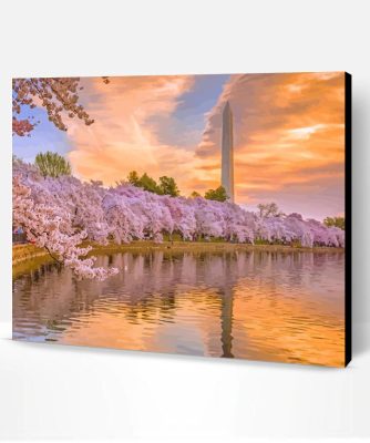 Cherry Blossoms Washington DC Sunset Paint By Number