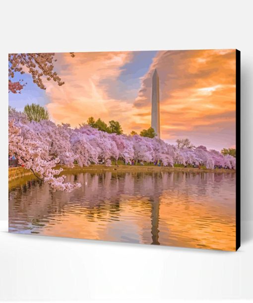 Cherry Blossoms Washington DC Sunset Paint By Number