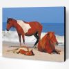 Chincoteague Horses Animals Paint By Number