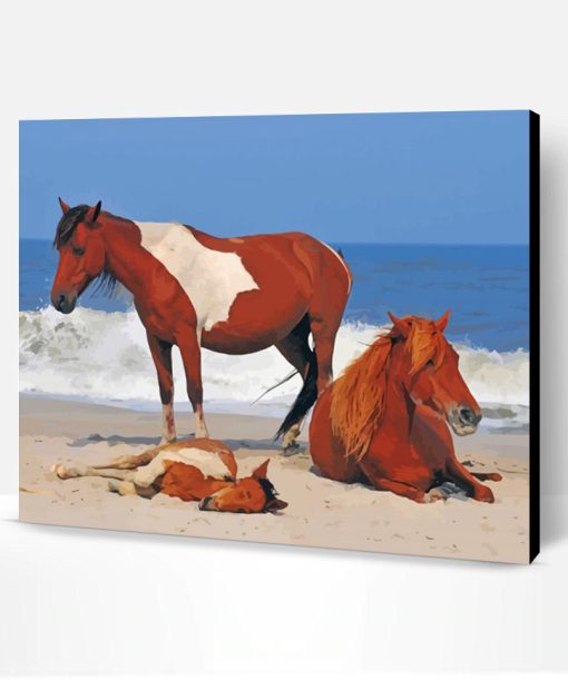 Chincoteague Horses Animals Paint By Number