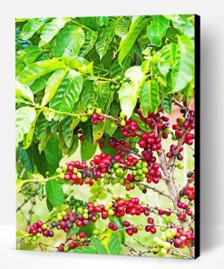 Coffee Tree Paint By Number