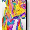 Colourful Staffy Dog Animals Paint By Number