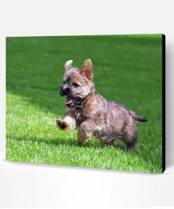 Cool Cairn Terrier Paint By Numbers