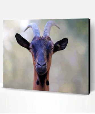 Cute Horned goats Paint By Numbers