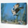 Cute Sandhill Crane Paint By Number