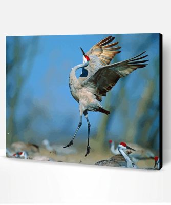 Cute Sandhill Crane Paint By Number